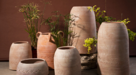 Collection Tabouna (2)